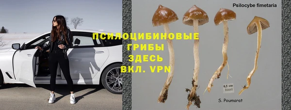 синтетический гашиш Алексин