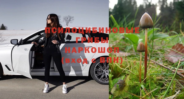 молекула духа Алзамай