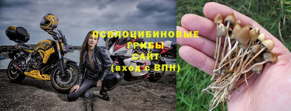 молекула духа Алзамай