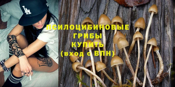 молекула духа Алзамай